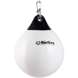 Bintiva Aqua Punching Bag - 1 of 3