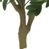 5ft