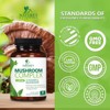 Mushroom Complex Supplement Capsules - 10 Mushrooms Lions Mane, Reishi, Chaga - 60 Capsules;120 Capsules - 4 of 4
