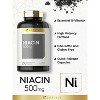 Carlyle Niacin Supplement 500mg | 250 Capsules - 3 of 4