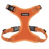 Voyager Step-In Lock Adjustable Dog & Cat Harness and 5ft Leash Combo - 2 of 4