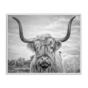 Stupell Industries Grey Highland Cow Photograph Framed Giclee Art - 1 of 4