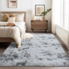 Fluffy Rug Non Slip - Ultra Soft Plush Faux Fur Area Rug for Living Room, Bedroom - 2 of 4