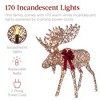 Best Choice Products 2-Piece Moose Family Lighted Christmas Yard Décor Set w/ 170 LED Lights, Stakes, Zip Ties - 3 of 4