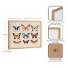 Kate & Laurel All Things Decor 16"x12" Gallery Vintage Style Muted Pastel Butterflies II Print by The Creative Bunch Studio Gold - 3 of 4