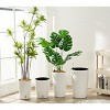 16-Inch Tall Self-Watering Planters (Set of 4)-Indoor Outdoor Flower Pots with Built-in Drainage & Water Level Monitor for Patio,Living Room & Office - 3 of 3