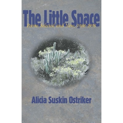 The Little Space - (Pitt Poetry) by  Alicia Suskin Ostriker (Paperback)