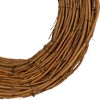 Northlight Natural Grapevine Twig Spring Wreath - 11" - Unlit - 3 of 4