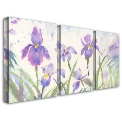 Trademark Fine Art -Sheila Golden 'June Iris' Canvas Art