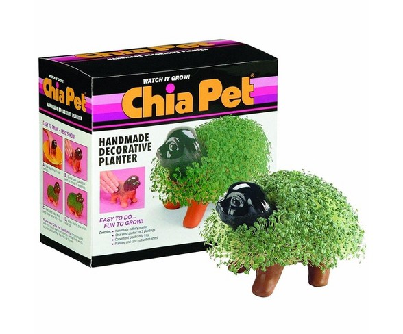 Joseph Enterprises, Inc Chia Pet Grass Planter: Puppy
