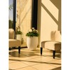 Rosemead Home & Garden, Inc. - 17" Wide Lightweight Concrete Outdoor Bowl Decorative Planter Pure White: Modern Design, Ecofriendly Materials - 4 of 4