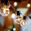 Novelty Lights Plastic G40 Globe Hanging LED String Light Replacement Bulbs E12 Candelabra Base 1 Watt - 4 of 4