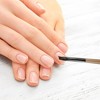 Unique Bargains French Style Nail Painting Brushes for Polish Painting Home DIY Clear Brown 1 Pc - 2 of 4