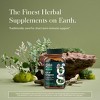 Gaia Herbs Oil of Oregano - Immune and Antioxidant Support Supplement with Oregano Oil, Carvacrol, and Thymol - 3 of 4