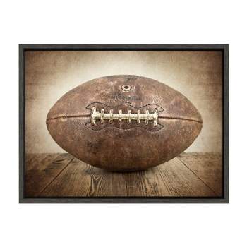 18" x 24" Sylvie Vintage Football Framed Canvas By Shawn St. Peter Gray?Green - DesignOvation