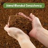 Soil Sunrise Terrarium Potting Soil Mix, w/ Blended Filtering Charcoal for Terrariums - 4 of 4