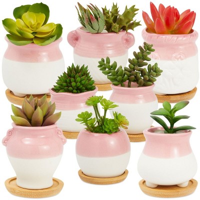 Okuna Outpost Set of 8 Ceramic Succulent Pots with Bamboo Tray (2.5 in)