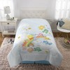 Care Bears Twin Bedding Bundle Falling Stars - image 3 of 4