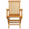 vidaXL Foldable Patio Chairs, Set of 4, Solid Teak Wood with Ergonomic Design, Easy to Store and Maintain, Versatile for Outdoor and Indoor Use - 3 of 4