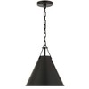 Crystorama Lighting Xavier 1 - Light Pendant in  Matte Black - 2 of 4