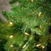 7.5' Sullivans Lit Pine Christmas Tree, Green - 2 of 2