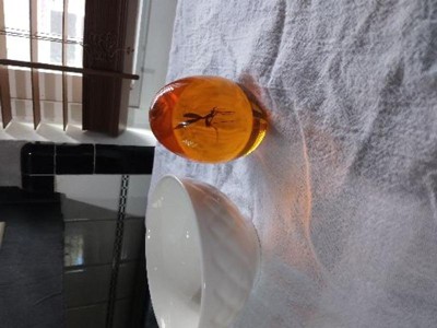 Surreal Entertainment Jurassic Park Mosquito In Amber Resin Paper