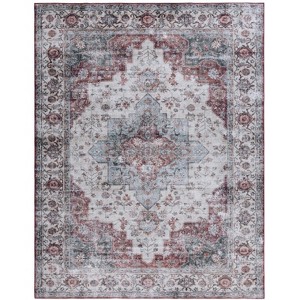 Tucson Vintage Persian TSN105 Power Loomed Machine Washable Skid-Resistant Indoor Rugs - Safavieh - 1 of 4