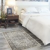 Nourison Concerto Center Medallion Indoor Area Rug - 2 of 4