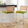 Bekrvio Bar Stools Set of 2/3/4, 26”/30" Barstool with Rattan Back, Velvet-Upholstered & Chrome Frame,Mid Century Modern Kitchen Stool for Island - 2 of 4