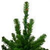 Northlight Pre-Lit Medium Alpine Artificial Christmas Tree - 7' - Multi Lights - 4 of 4