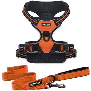 Voyager Dual-Attachment No-Pull Dog Harness with 6ft Leash Combo  - 1 of 4
