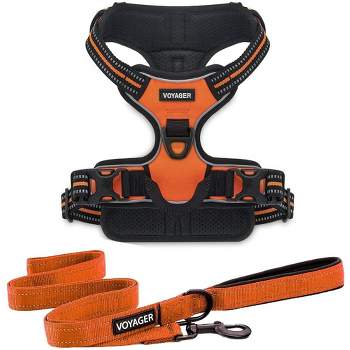 Air Frontier Harness And Leash Set - VOYAGER Dog Harnesses