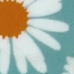 baby blue daisy