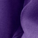 radiant purple vine embroidery