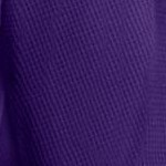 radiant purple vine embroidery