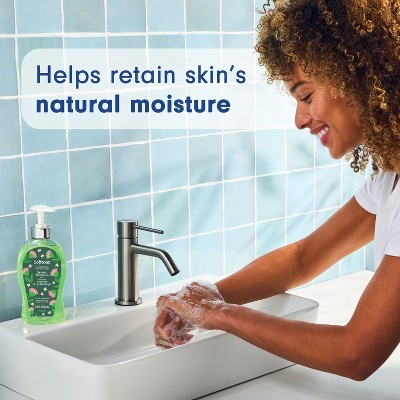 Softsoap Liquid Hand Soap - Spring Meadows - 11.25oz