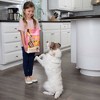 Solid Gold Hund-n-Flocken Everyday Nutrition All Ages Dry Dog Food with Lamb Flavor - 12lbs - 3 of 4