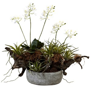 Nearly Natural Orchid & Succulent Garden with Driftwood & Decorative Vase - 1 of 2
