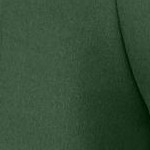 midnight green