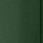 midnight green