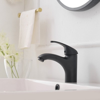 Matte Black Stainless Steel Single-Handle Bathroom Faucet