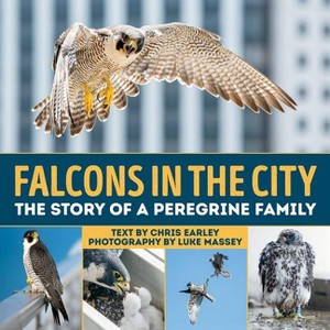 Falcons in the City - by  Chris Earley (Hardcover) - 1 of 1
