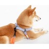 Racxily 2-in-1 Durable Nylon Dog Harness and Leash, with Soft Padded Handle,Escape Proof and Quick Fit to Adjust Dog Harness - 4 of 4