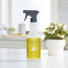 Mrs. Meyer's Clean Day Multi-Surface Cleaner - Daisy - 16 fl oz - image 3 of 4