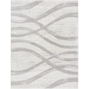Adirondack ADR125 Non-Shedding Power Loomed Indoor Rugs - Safavieh - 1 of 4
