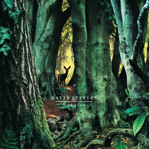 David Sylvian - Manafon (2 Lp) (vinyl) : Target