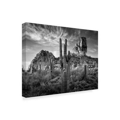 Trademark Fine Art -David Drost 'Black And White Desert View I' Canvas Art