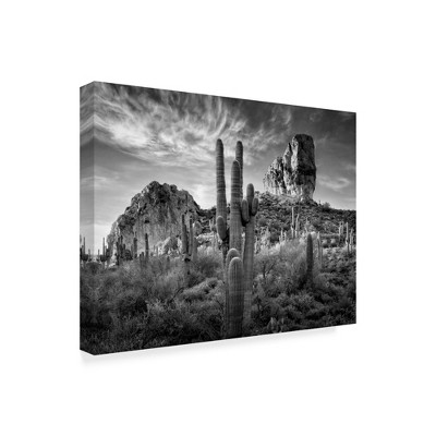 Trademark Fine Art -david Drost 'black And White Desert View I' Canvas ...