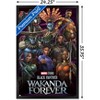 Trends International Marvel Black Panther: Wakanda Forever - Group Framed Wall Poster Prints - 3 of 4