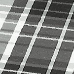 black gray